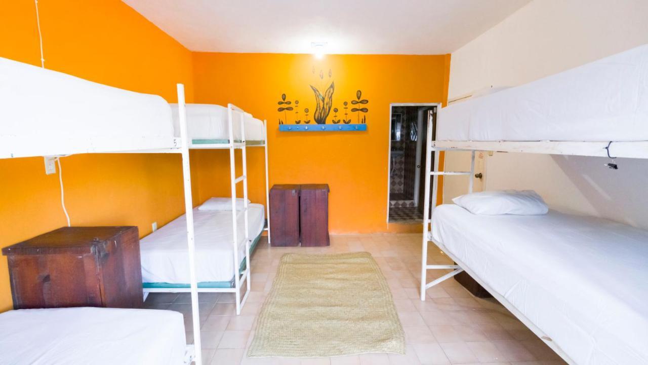 Weary Traveler Hostel Tulum Camera foto